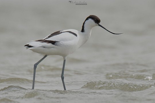 Tour image 6